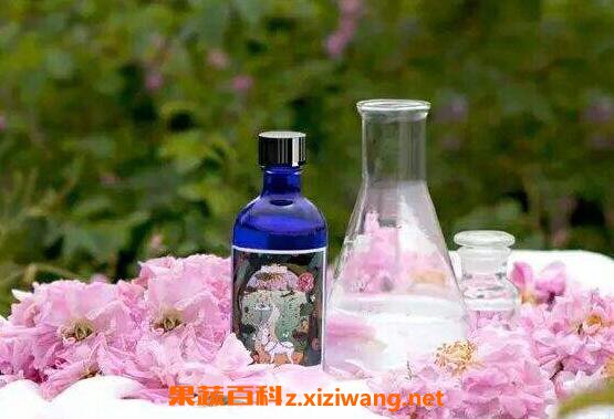 玫瑰纯露的功效与作用及使用方法