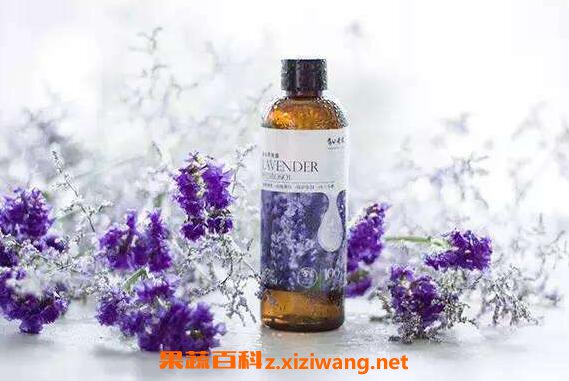 薰衣草纯露的功效与作用