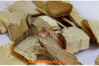 穿破石泡酒的功效与作用 穿破石泡酒的药用价值
