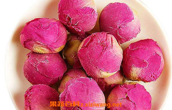 牡丹花茶怎么泡 什么人适合喝牡丹花茶