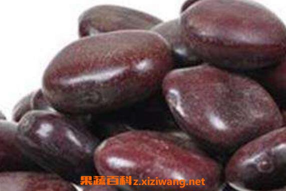 榼藤子的功效与作用及药用价值
