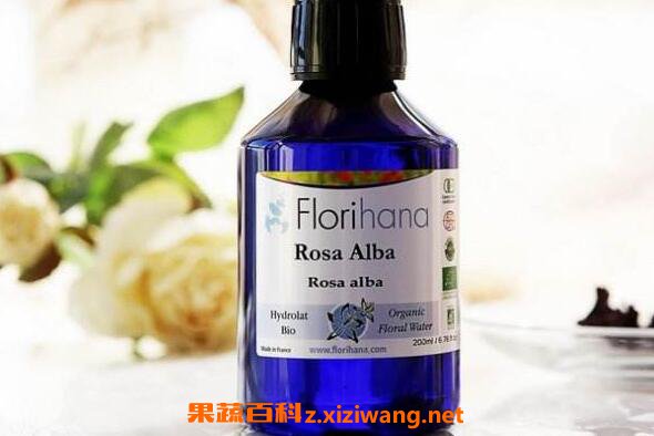 梅花纯露的功效与作用
