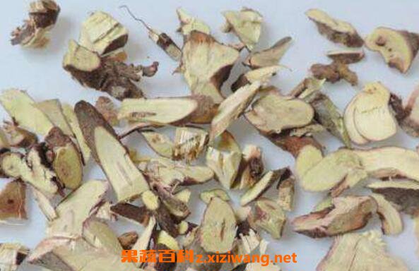 腊梅根如何泡酒 腊梅根泡酒的功效与作用