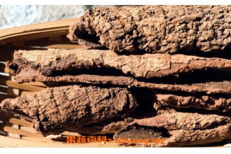 杨梅树皮的功效与作用及药用价值