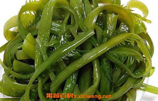 裙带菜和海带的区别