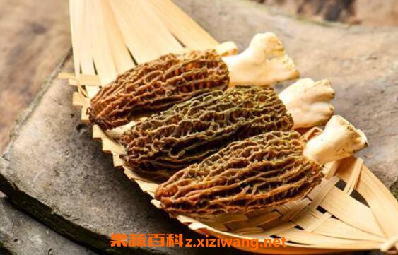 羊肚菌的功效与作用