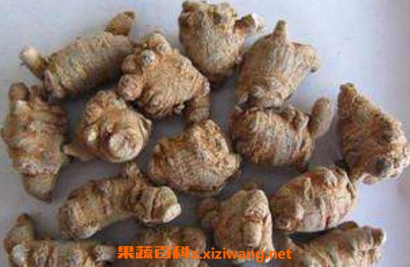 田三七的功效与作用 田三七的禁忌