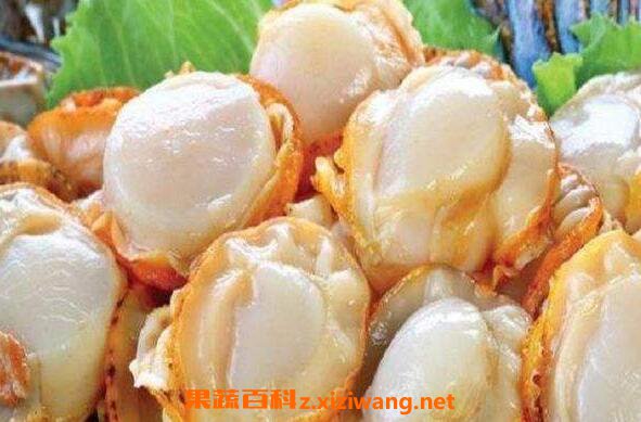 全贝的功效与作用 全贝的营养价值