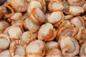 全贝怎么吃 全贝的家常做法