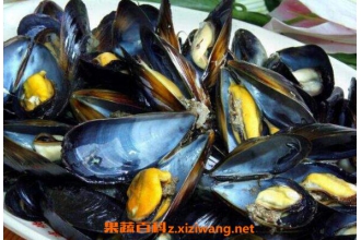 海虹的营养价值及功效 吃海虹的好处
