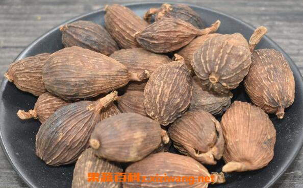 草果仁的功效与作用 草果仁的副作用