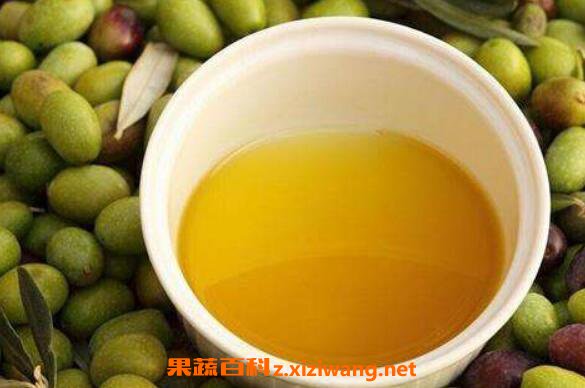 山茶油的功效与作用 山茶油能美容吗