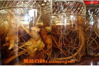 三七泡酒的功效与作用 三七泡酒的危害