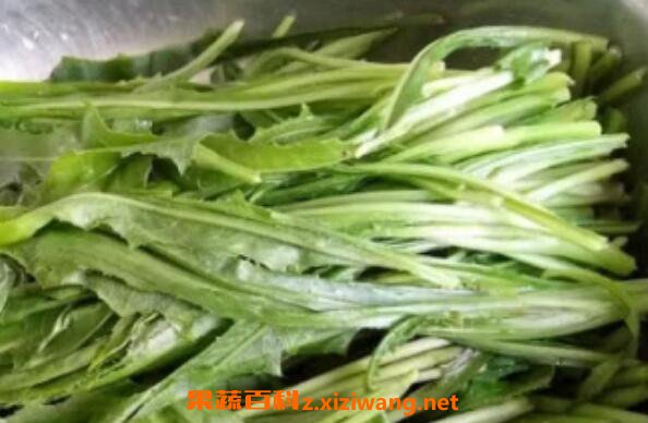 奶浆菜的作用与功效