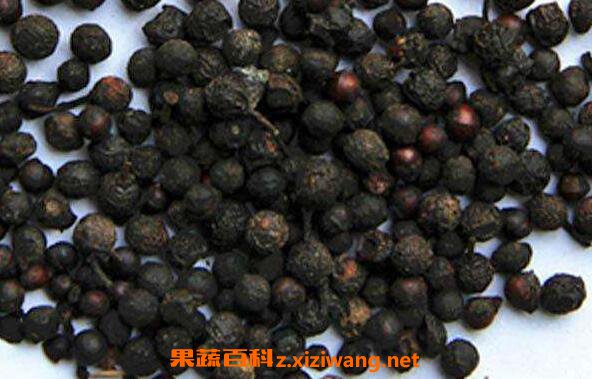 山胡椒怎么吃 吃山胡椒有什么好处