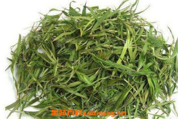 石竹茶的功效与作用 石竹茶的副作用