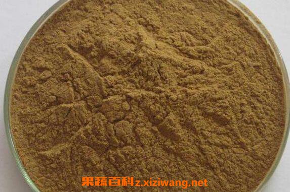 无花果粉的功效与作用 无花果粉的食用方法