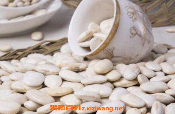 白芸豆的功效与禁忌