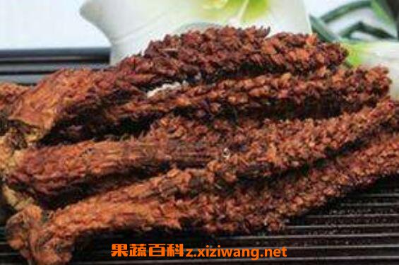列当的疗效与食用方法