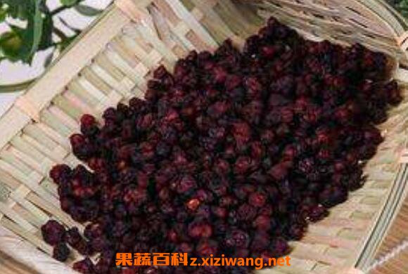 醋五味子和五味子有什么区别 五味子的食用方法