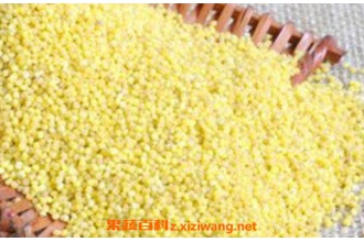 黍米怎么做好吃 黍米的吃法