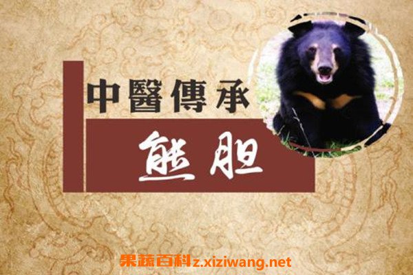 熊胆粉