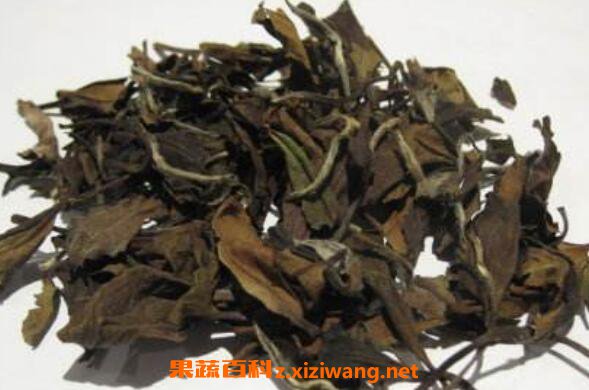 老寿眉的功效与作用