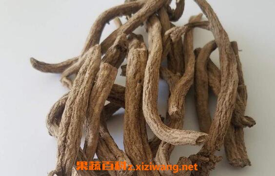 紫金龙根泡酒的功效与作用