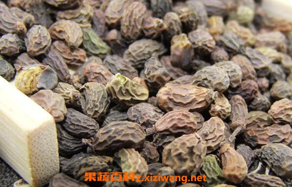 女贞子泡水喝的功效