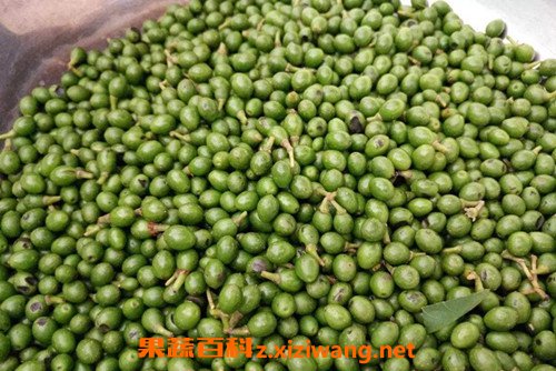 木姜子油