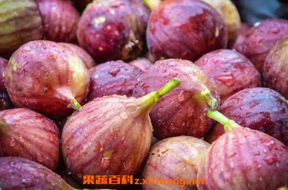 无花果怎么吃