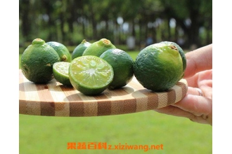 青金桔怎么腌制 青金桔蜂蜜腌制方法