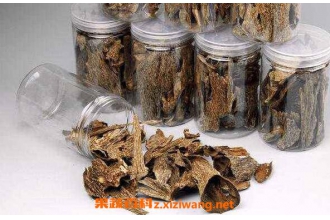 沉香的功效与作用及药用价值