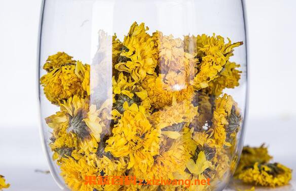怀菊花的功效与作用 喝怀菊花的禁忌