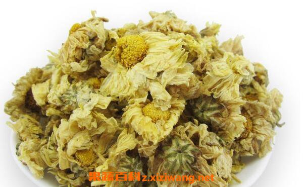 怀菊花茶的功效与作用