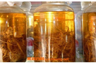 三七泡酒怎样泡最好 三七和什么泡酒最好