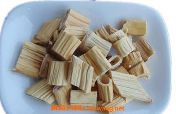 芦苇根泡茶有什么功效