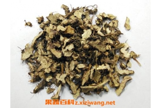淫羊藿根的功效与作用 淫羊藿根的药用价值