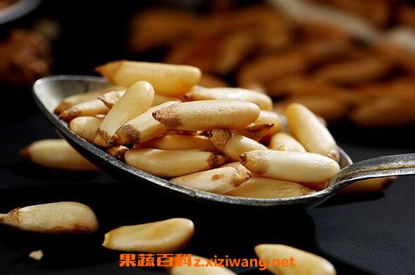 手剥松子的功效与作用