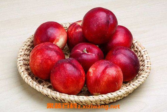 油桃