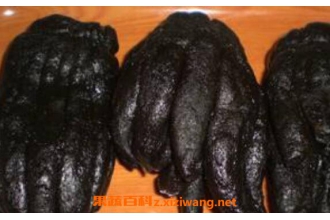 陈年佛手的功效与作用及药用价值