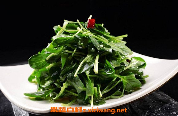 鸡毛菜
