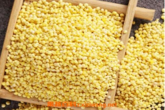 稷米怎么吃 稷米的食用方法