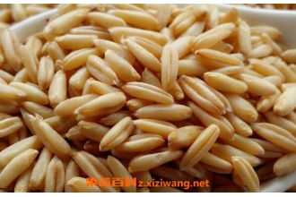 莜麦粒是什么 莜麦粒怎么吃