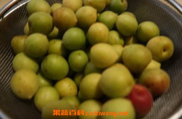 广西酸梅如何做 广西酸梅腌制做法