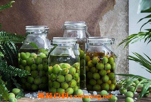 青梅汁