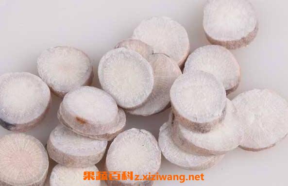 芍药根的功效与作用