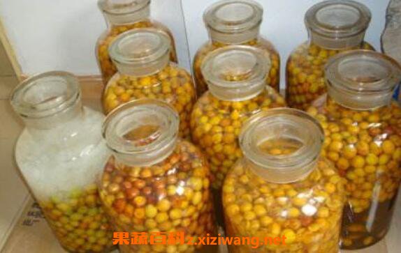 酸梅酒如何做 酸梅酒怎么泡窍门