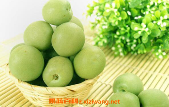 盐腌酸梅的功效与作用