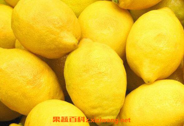 柠檬酱和什么搭配吃